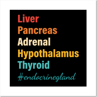 Liver Pancreas Adrenal Hypothalamus Thyroid Endocrine Gland Posters and Art